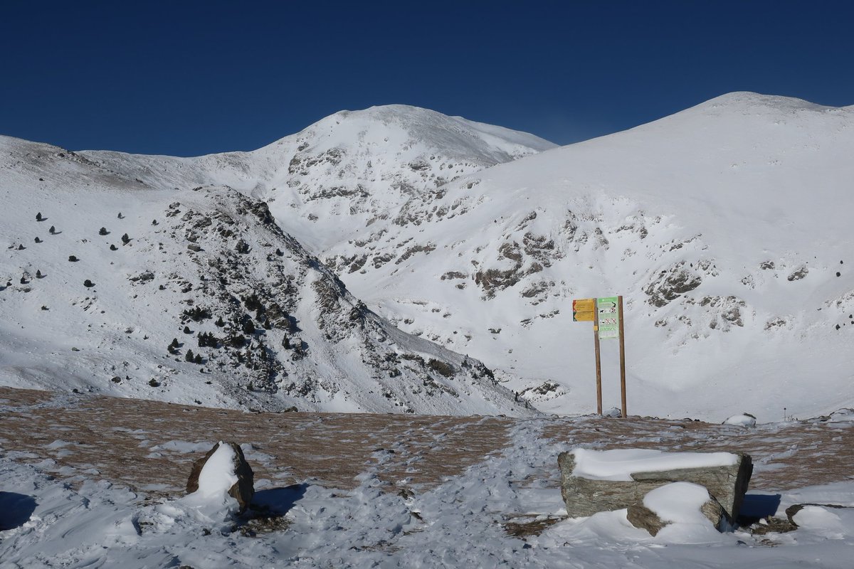 enric faura tweet media