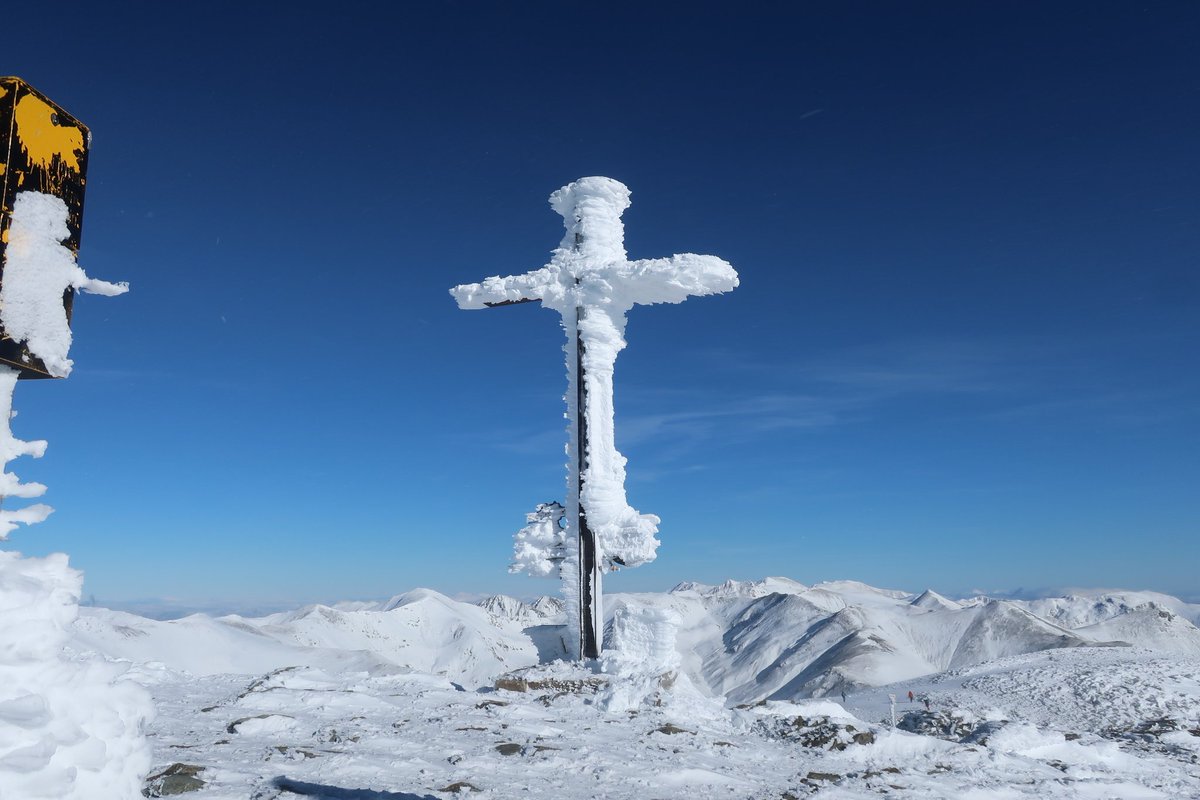 enric faura tweet media