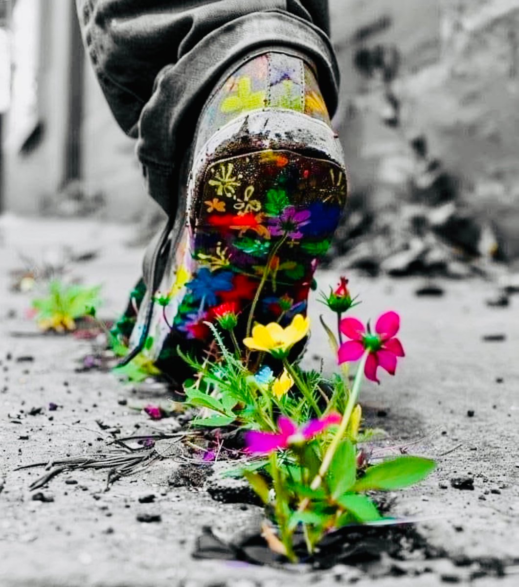 PullTheShade3's tweet image. #didyouseeit 
Do you suppose she is a #wildflower
Even if you stepped all over her - the seed will #springforth