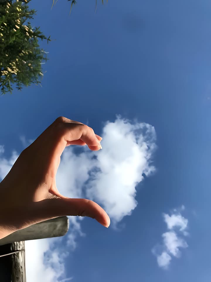 "
،
،
ثق بالله   ..   وتمنّى الخير لغيرك فرزقك عند الله محفوظ.

#طيب_اثرك