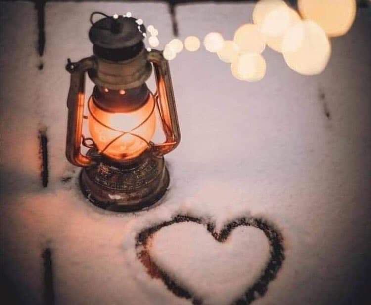 aras017993's tweet image. Seveceksen kar tanesi gibi sev
Bütün soğukları unutturan
İnsanı çocuklaştıran
Öylesine temiz
Öylesine güzel
Öylesine sessiz
Derinden
Ve masumca
Çocukça sev....

İyi geceler✨ 🌚⏰💜💜💜