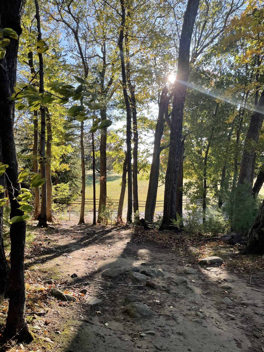w_parv's tweet photo. Leaving my hometown.

Bittersweet because I’ve spent most of my life there

It still hasn’t pushed me enough.

New spot incoming 👀 https://t.co/sFdbURz11L