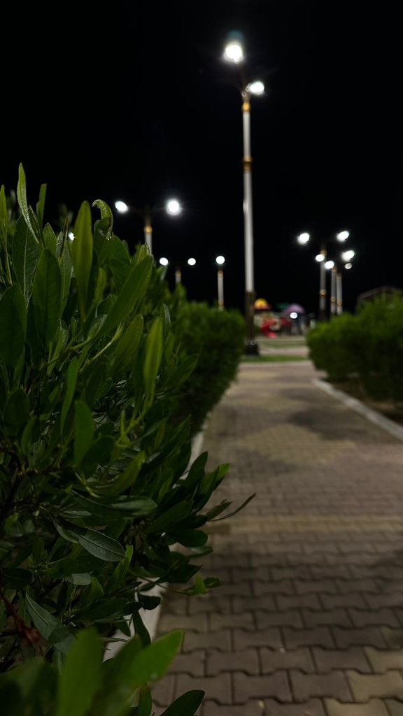 "الليل هو وقت التأمل والهدوء، حيث تلتقي الأحلام بالنجوم. 🤎
          #ليلة_هادئة #تأمل"