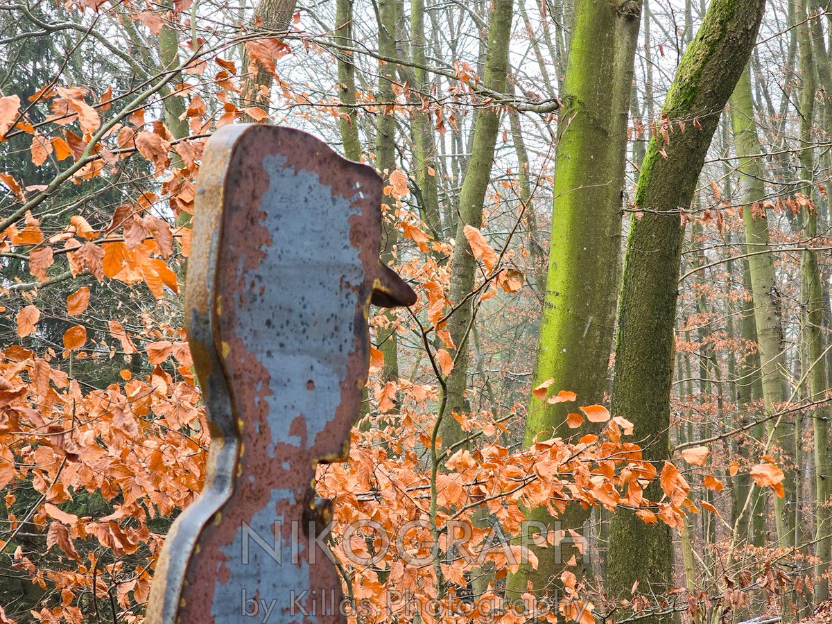 Nikographos's tweet photo. Winterlicher Spaziergang im Wald🐾👣🍂

#iserlohn  #Sauerland #NRW #Nikographos #Nikograph #waldbaden #Gassirunde #dogwalk #Spaziergang #dogwalk  #hundefotografie #gassizeit #wandern #nature #Natur #outofhomemomente #outdoor #hiking #waldspaziergang #KillasPhotography #Skulptur https://t.co/PAkm2g9WmB
