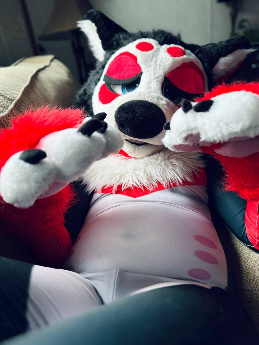 The Brave Little Cum Dumpster tweet media