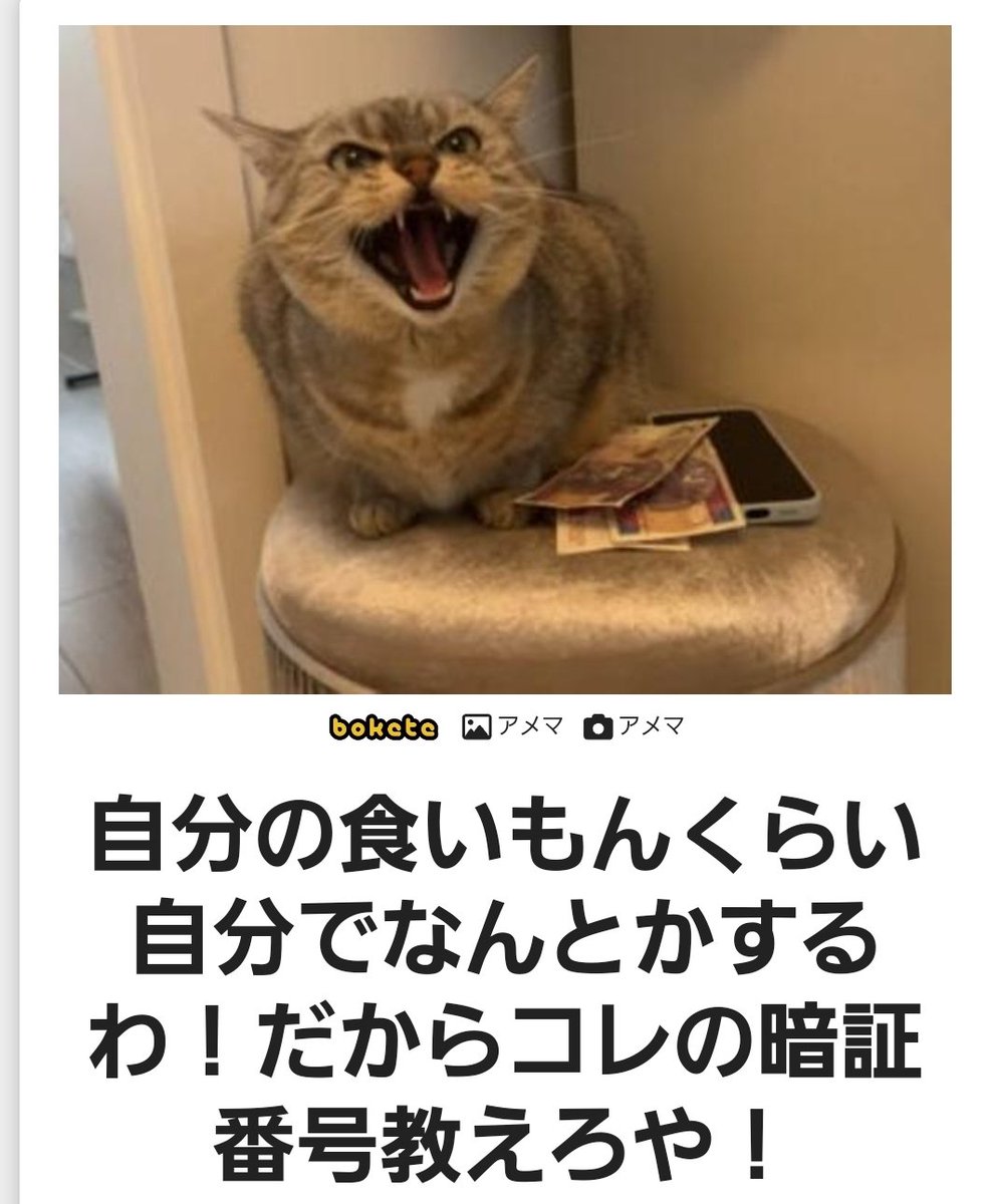 おはようございます☀️
本日もよろしくお願いいたします🍀

もう１２月もまん中辺り
今年１年どうでしたか?

楽しかった?
頑張った?

まだ後少しファイトです

今日の朝ごはんなんですか?