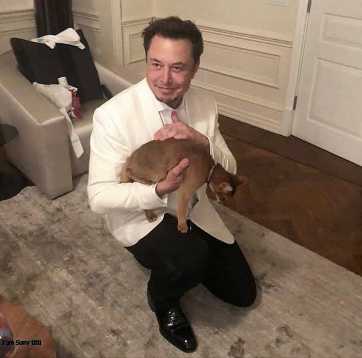 Smallxcoin's tweet photo. 🐾 SmallX isn’t just a meme coin—it’s a mission!
🌟 One of our key goals is to partner with charities and support pet welfare. Together, we can make a difference for our furry friends!
🔗 Join the SmallX movement today!
#SmallX #CryptoForGood #PetCharity
#cryptocurrency #Crypto https://t.co/MRr2PmHHgp