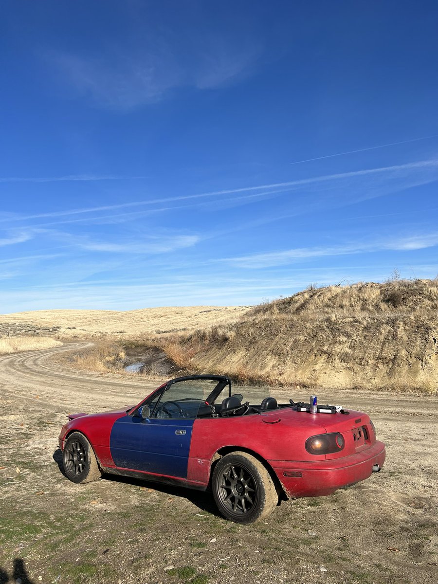 2000nb8c's tweet photo. Bi monthly bird app post 👍 https://t.co/nEuOETwbwR