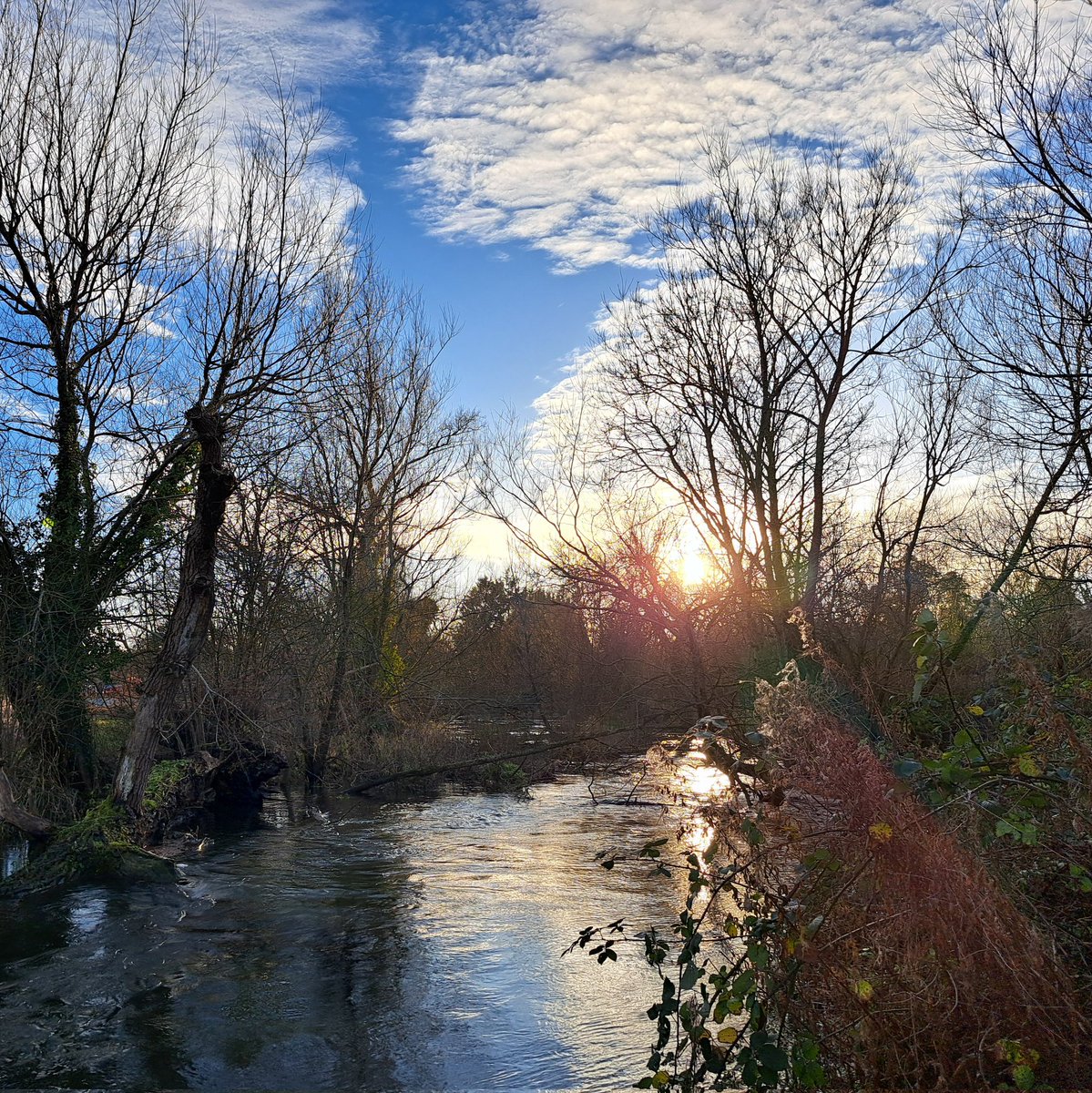 We receive lots of enquiries and are always happy to advise and assist where we can, there are also lots of advice pages on our website worth checking out: riverkennet.org/advice/advice
#chalkstream