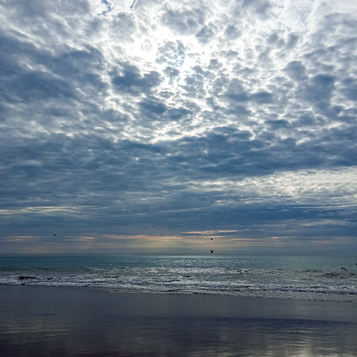 prettychl7a's tweet photo. My therapy 💙 https://t.co/K7PevMxFp6