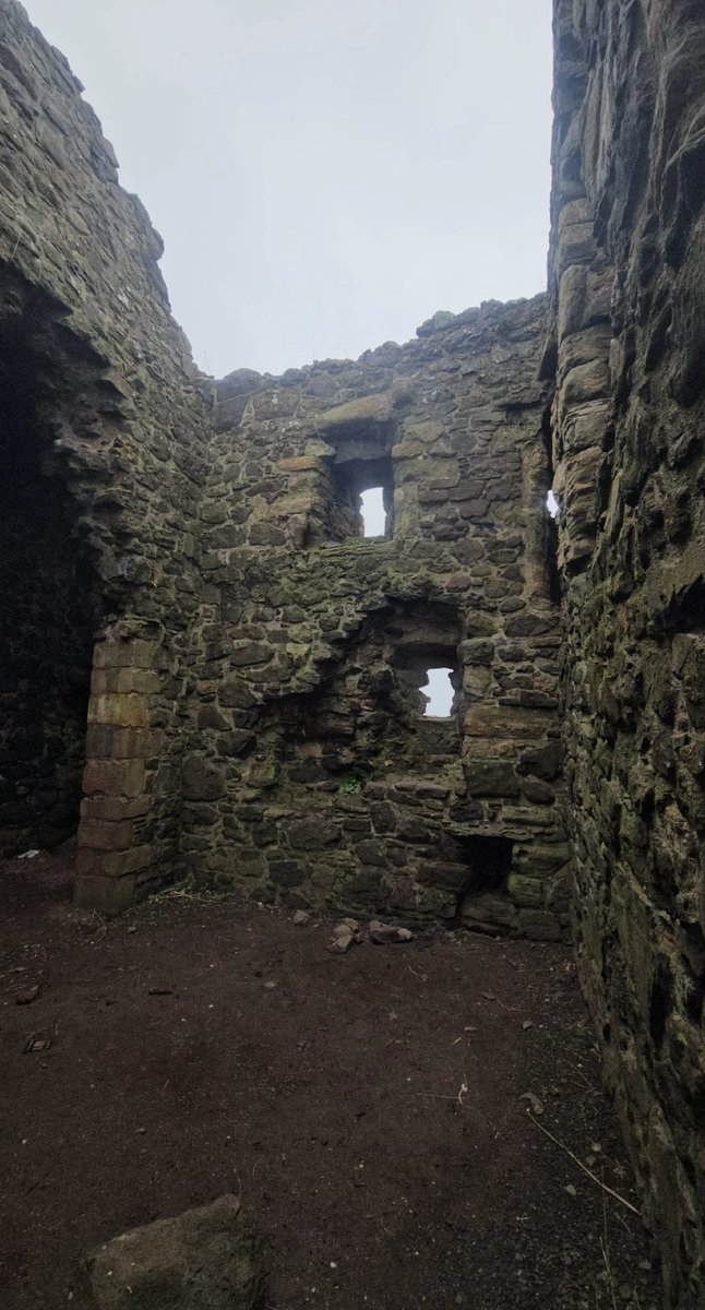 grahammalcolm tweet media