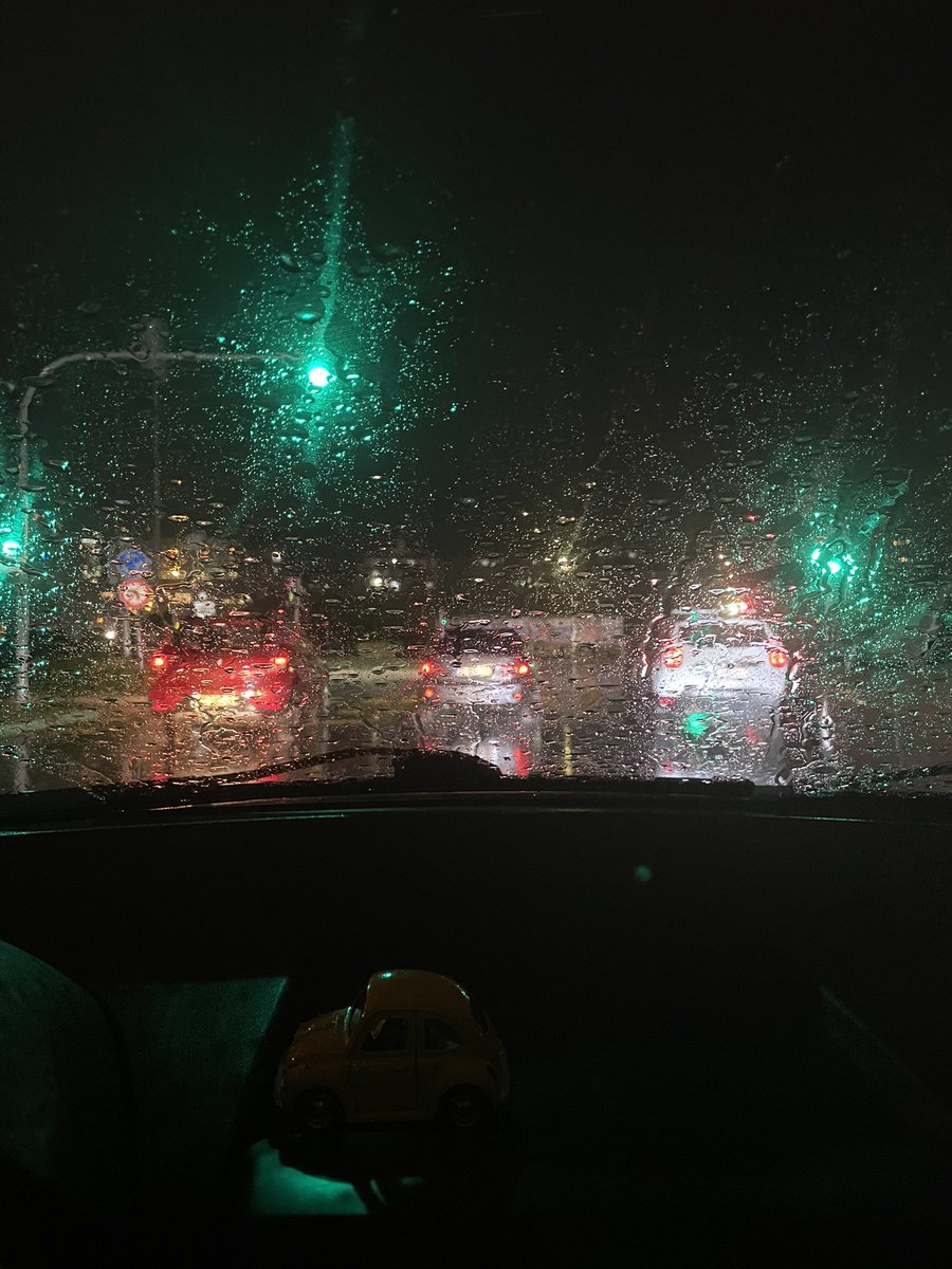 Yağmur Kaçağı / Attila İlhan