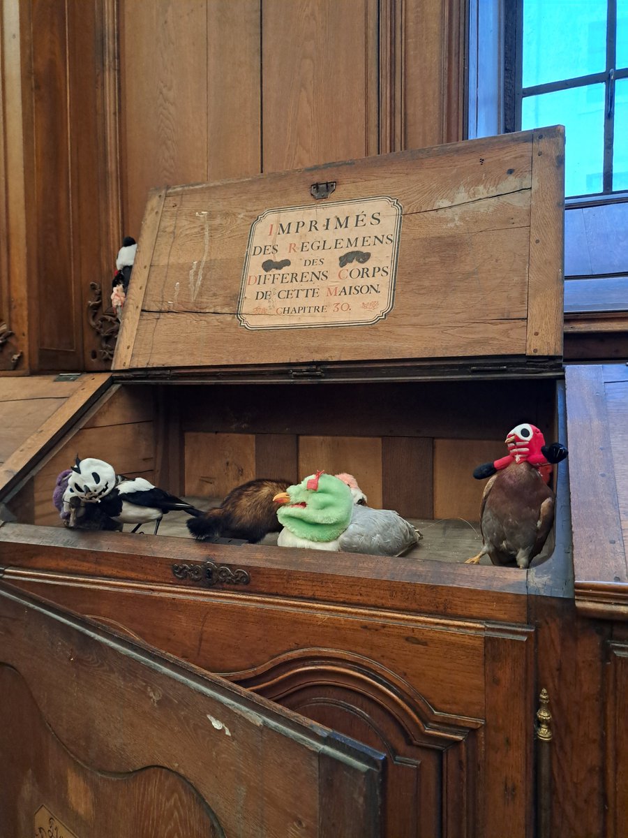 Ludovic S. tweet media