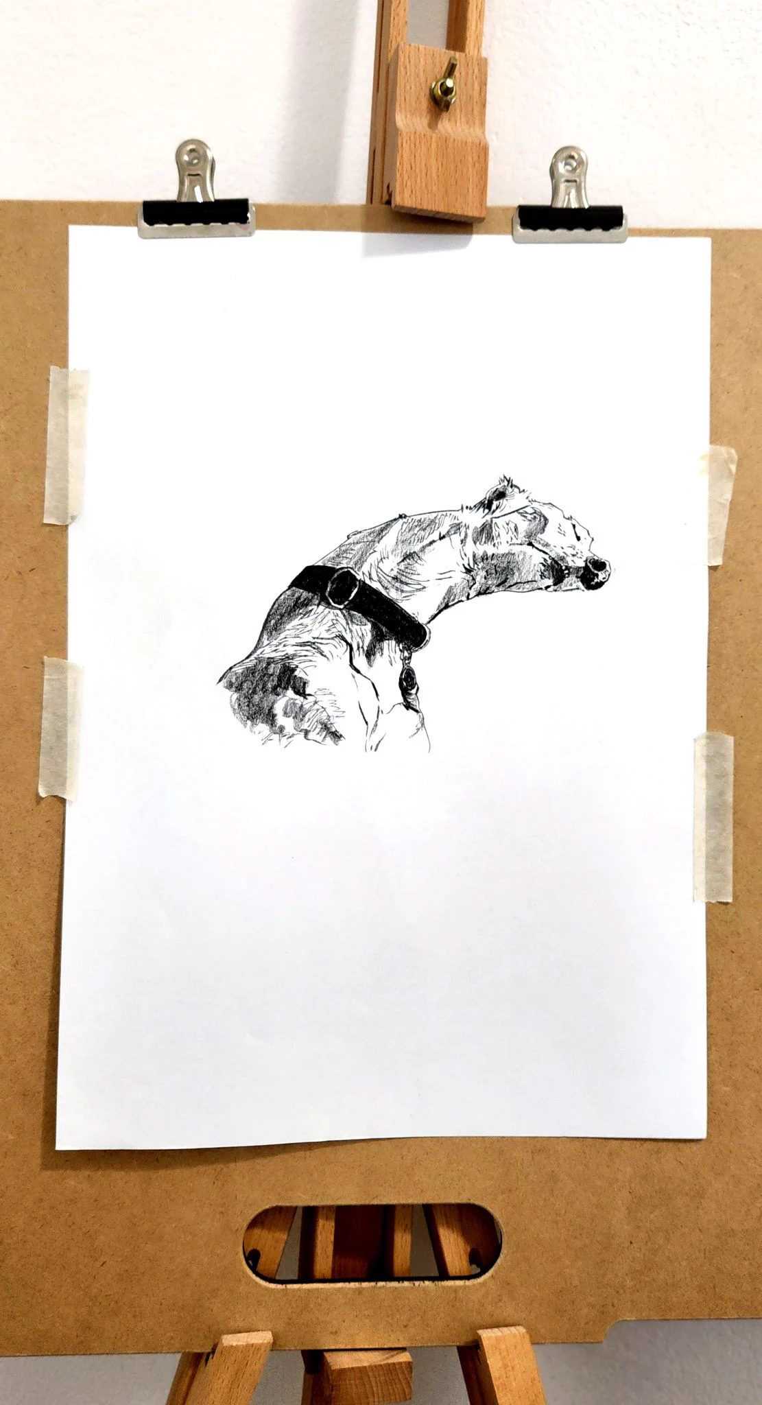 A whippet dog sleeping in a position that is certain to leave him with a sore neck later (on easel).