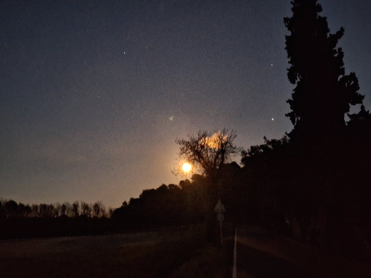 Lluís Muntada tweet media