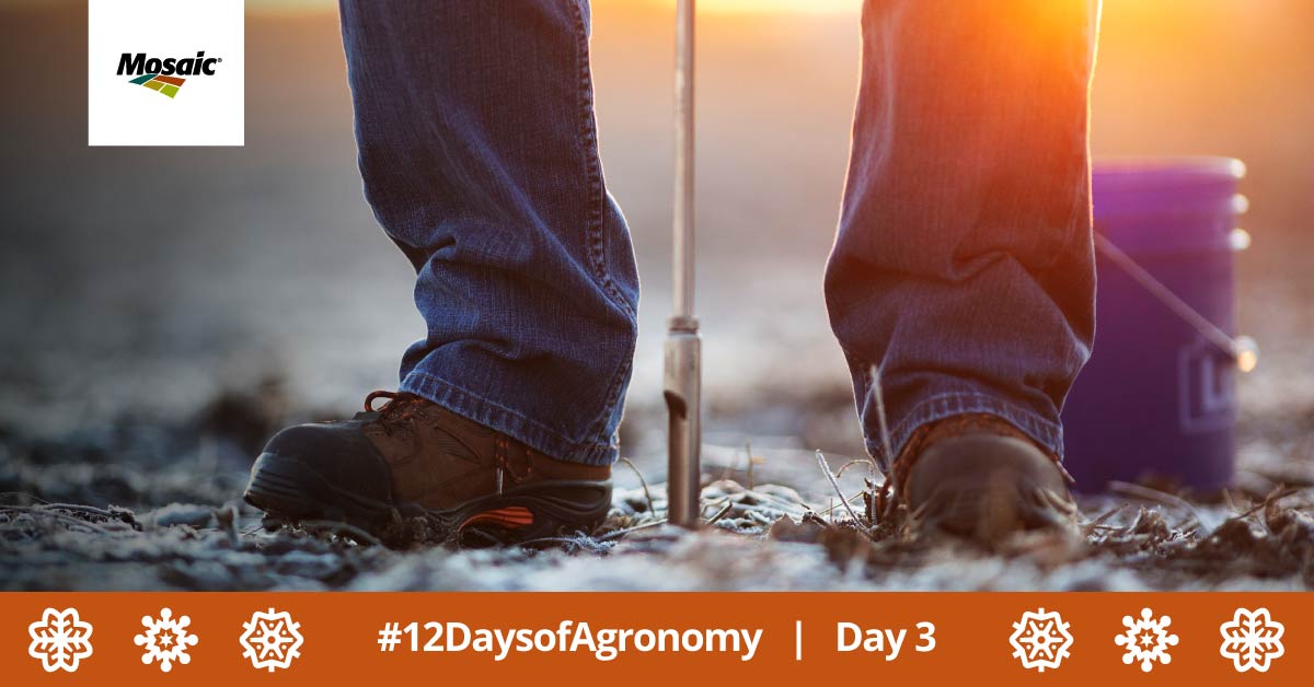Crop_Nutrition's tweet image. By soil testing at the right time and analyzing results, you can tailor your fertilizer plan to maximize nutrient use, enhance soil health and ultimately improve your ROI. Learn when to soil test, why it matters, and more here: bit.ly/3OWKvHT #12DaysofAgronomy