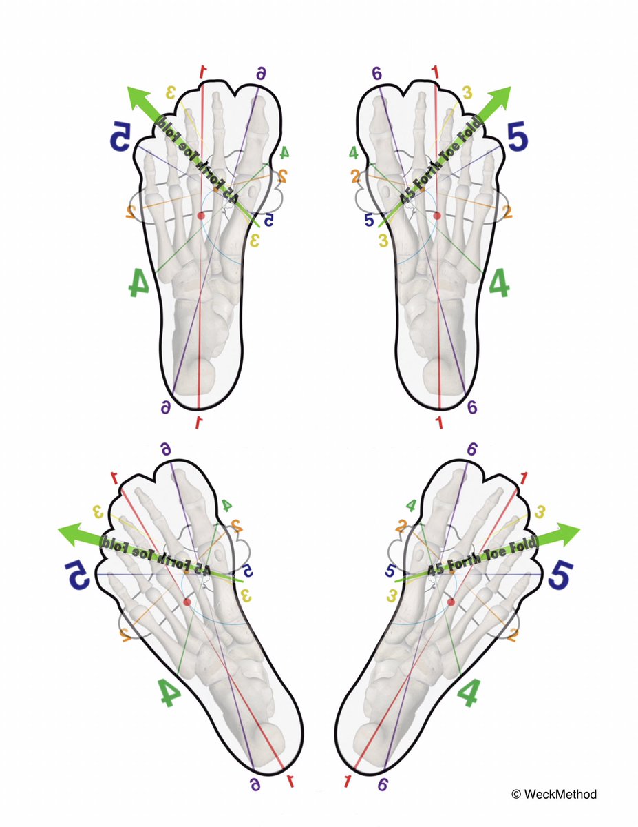 TheDavidWeck's tweet photo. @PhotoRJJohnston The “4th Toe Fold” can be your best friend. I will post on it soon.
You basically roll out 45 degrees which will allow you to straighten/pigeon the toes and avoid the Big Toe for a time.
Let it heal up. https://t.co/IrdO1yAMYO