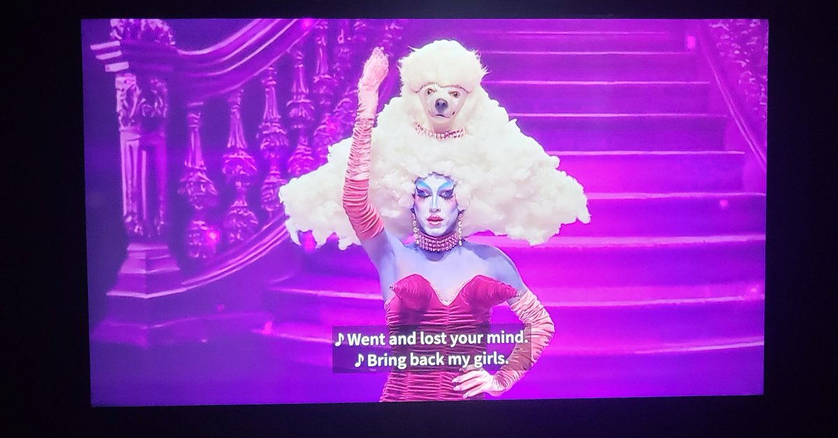 sugarmelodyy's tweet photo. finalmente me sinto plena pra gritar we were ROBBED 😭 #dragraceespaña nossa Nina Bonina Acid Bettiana espanhola...

mas bora de #TeamLeCoco https://t.co/2YQs4Luzku