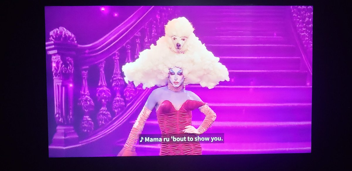sugarmelodyy's tweet photo. finalmente me sinto plena pra gritar we were ROBBED 😭 #dragraceespaña nossa Nina Bonina Acid Bettiana espanhola...

mas bora de #TeamLeCoco https://t.co/2YQs4Luzku