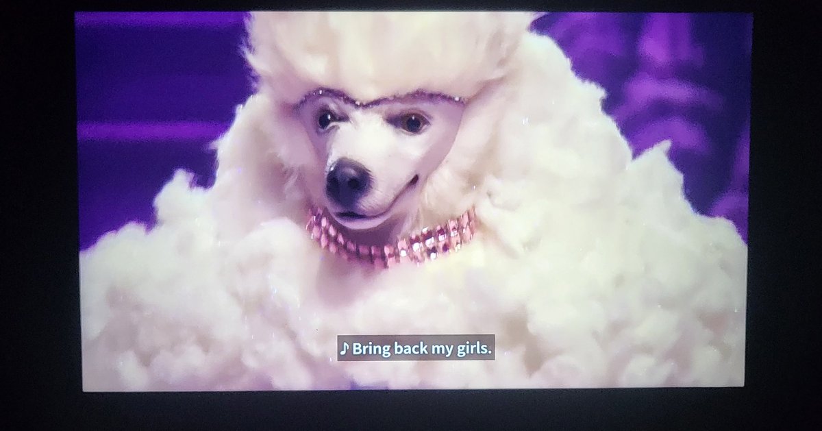 sugarmelodyy's tweet photo. finalmente me sinto plena pra gritar we were ROBBED 😭 #dragraceespaña nossa Nina Bonina Acid Bettiana espanhola...

mas bora de #TeamLeCoco https://t.co/2YQs4Luzku
