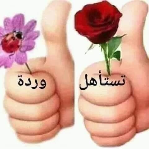 AFtyny41028's tweet photo. @toiwaaws https://t.co/TFdJ3mQM6b