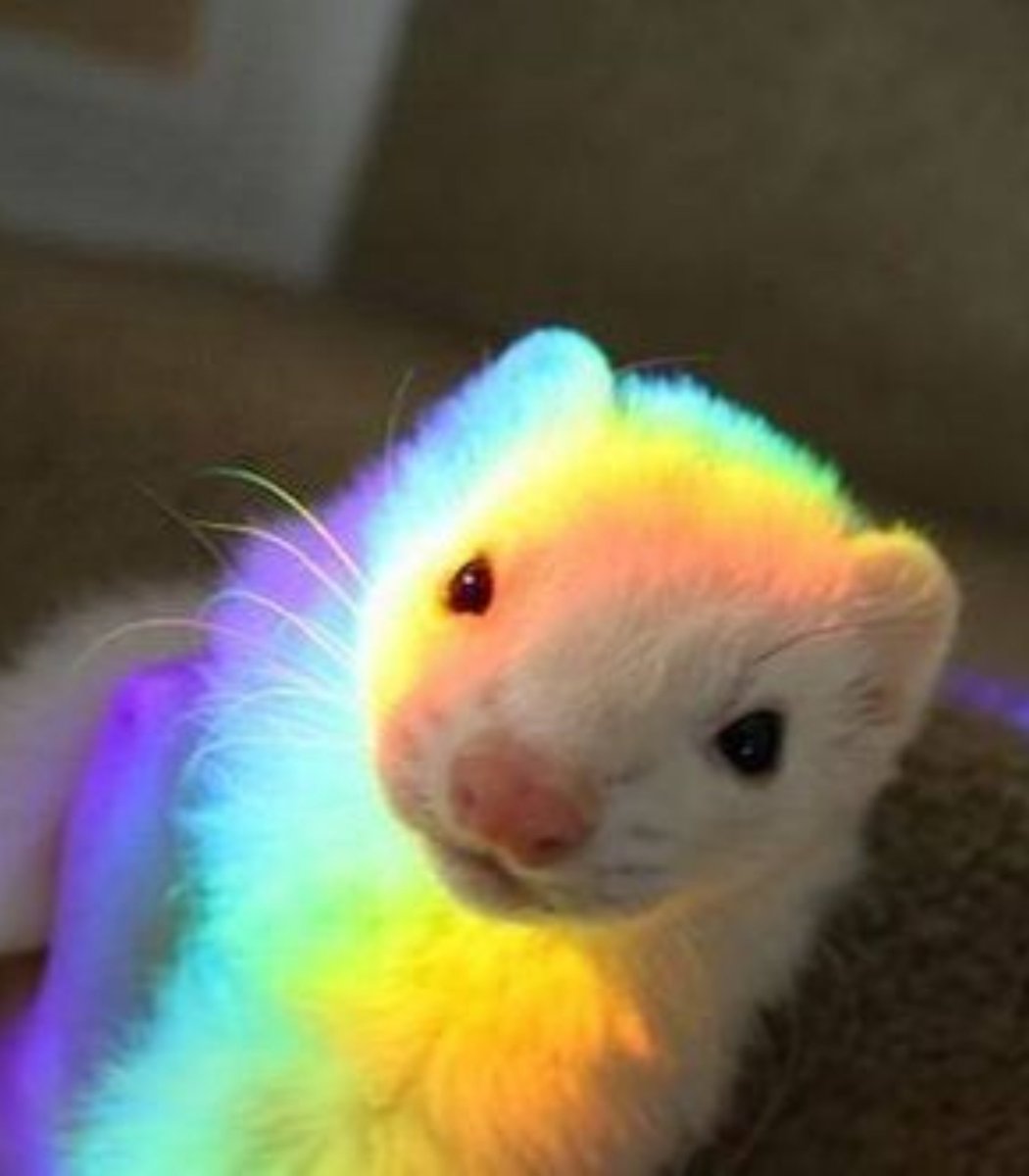 VanillaCherie's tweet photo. 🌈 https://t.co/9KQUzYFWo7