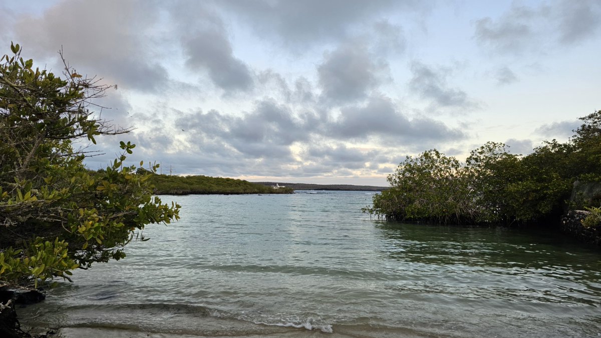 TechiEc593's tweet photo. Un poco de lo bacán que es Galápagos https://t.co/JoM1kbApMM
