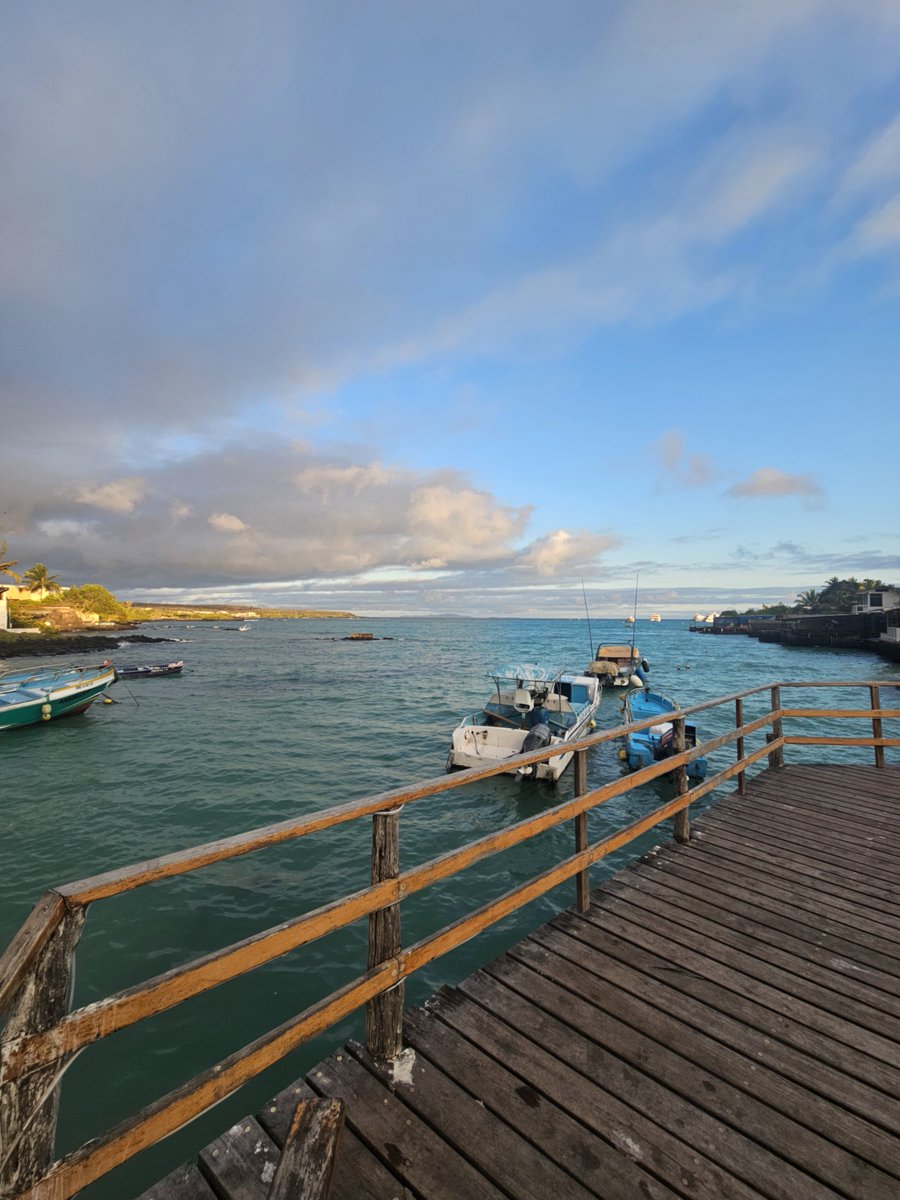 TechiEc593's tweet photo. Un poco de lo bacán que es Galápagos https://t.co/JoM1kbApMM