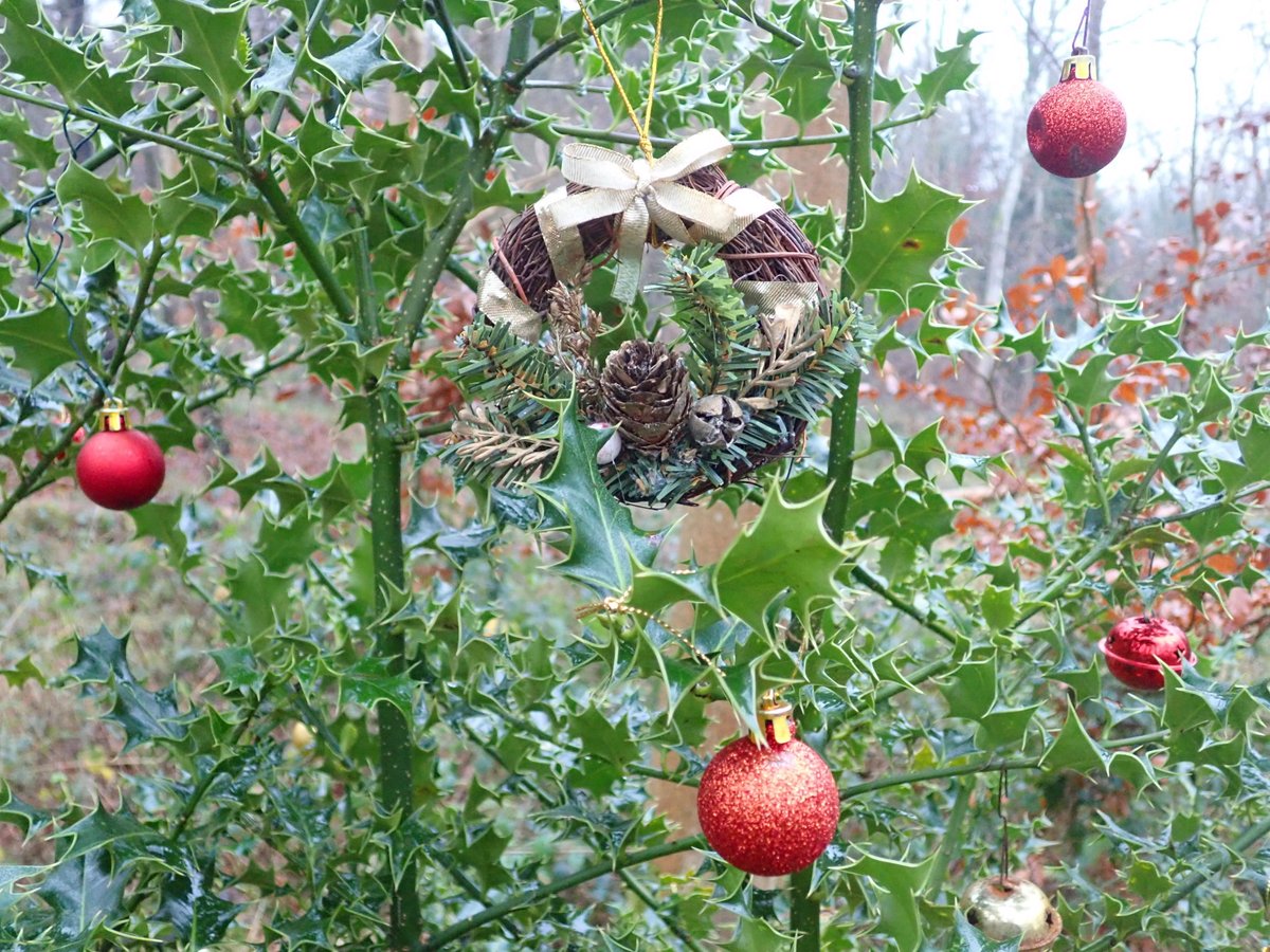 Mick Jones tweet media