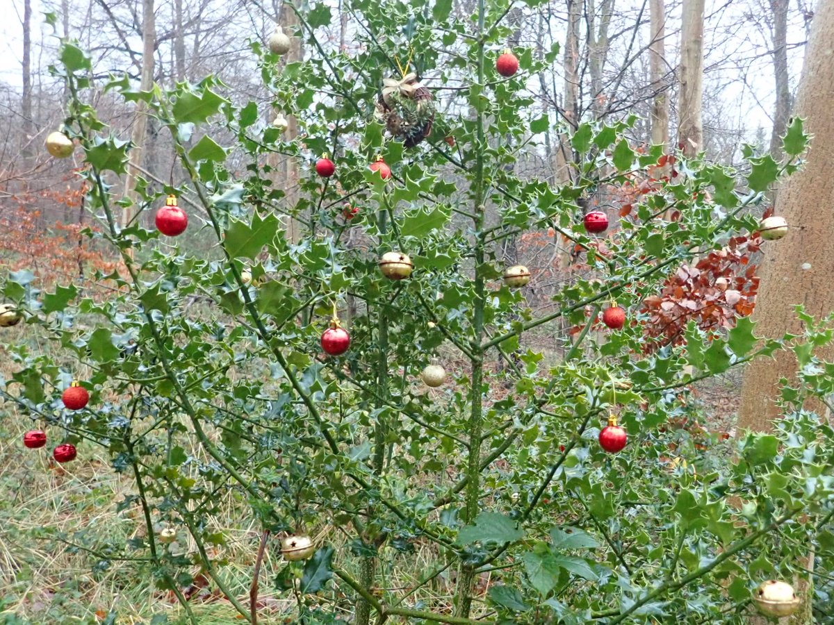 Mick Jones tweet media