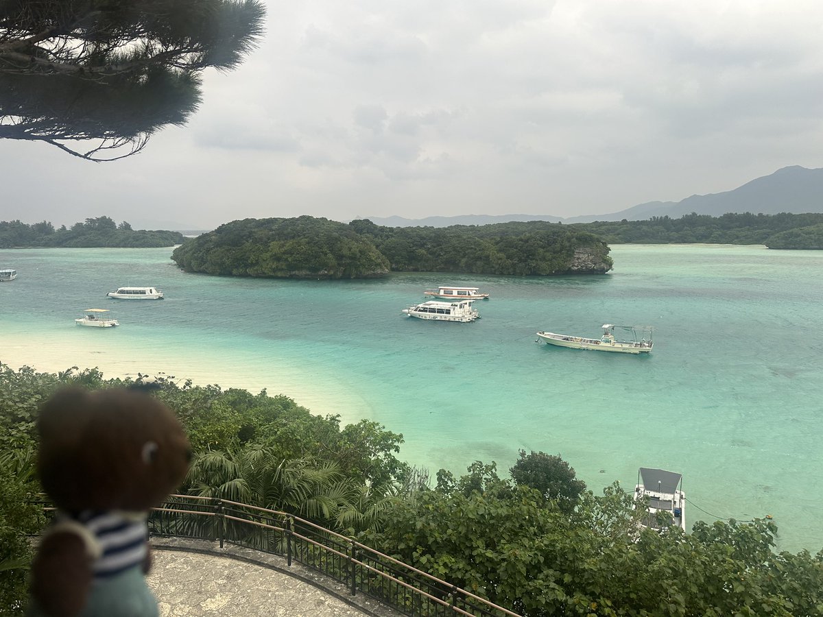 Kumalien52 tweet picture