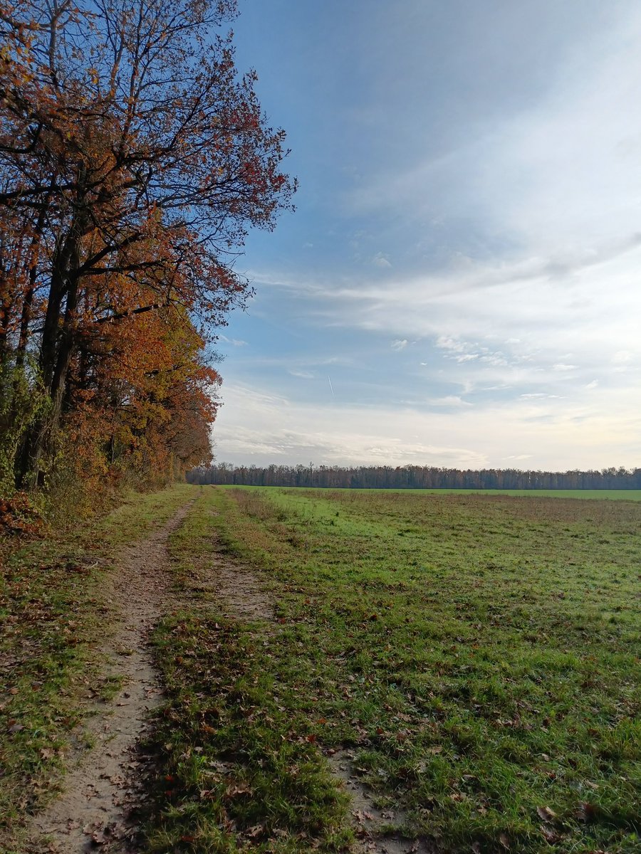 Christellerie's tweet photo. Dimanche 1er décembre.
20 km entre Nevers et Souppes-sur-Loing dans la fraîcheur et le soleil voilé. #GR13 (Transilien R à GdL)
Excellente portion très variée, le début dans la forêt à la sortie de Nevers est remarquable ! 😍
(On a vu les chasseurs de près également. 😳🐗) https://t.co/Z5JNxjzgU2