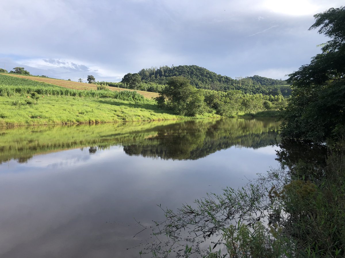 seguiralexandre's tweet photo. Na casa dos meus pais, a natureza não é apenas paisagem, é parte da nossa história. Cada árvore plantada, cada flor que floresce, carrega o cuidado e o amor que a nossa família cultiva há gerações.

Aqui, a vida pulsa no canto dos pássaros, no aroma das plantas e na harmonia. https://t.co/Ize7q1qIJH