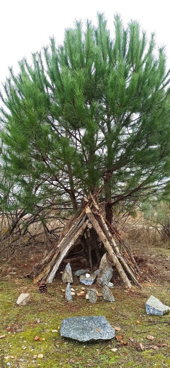 La tradición navideña del Parque Forestal Viñas Viejas está de vuelta con su humilde Belén. Descúbrelo rodeado por un entorno natural que tenemos la suerte de tener a las puertas de nuestras casas y que estamos comprometidos en preservar. 🌲🌿 🌳🍃
maps.app.goo.gl/FT3XQ1thWUMGa4…