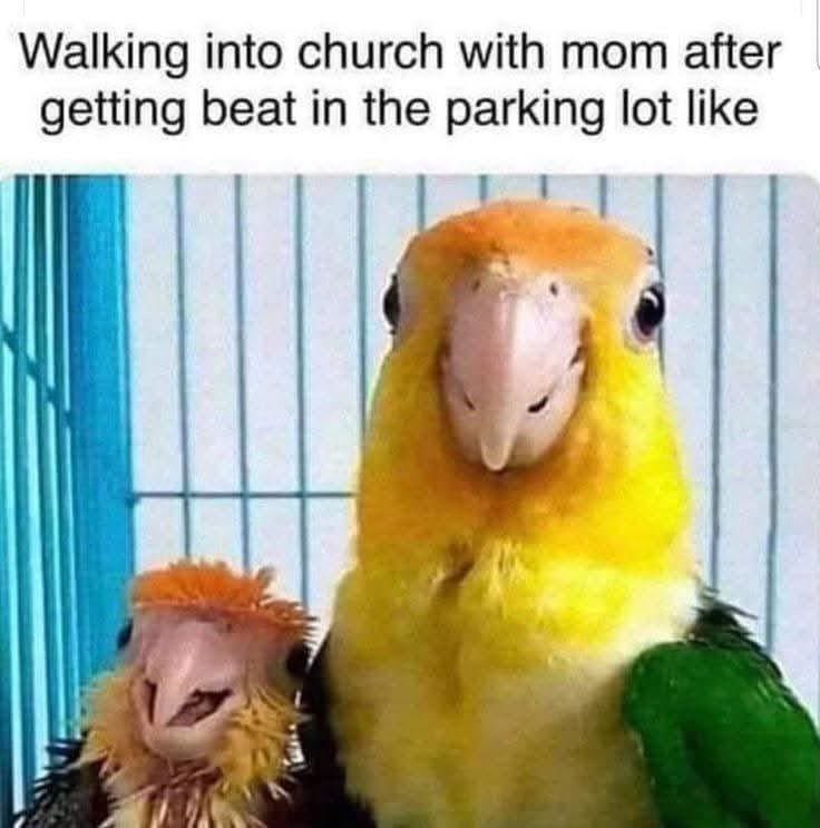 TheObeseMidget's tweet photo. #Funny #Meme https://t.co/sNT52KA1sj