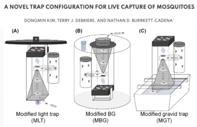 Rubén Bueno tweet media