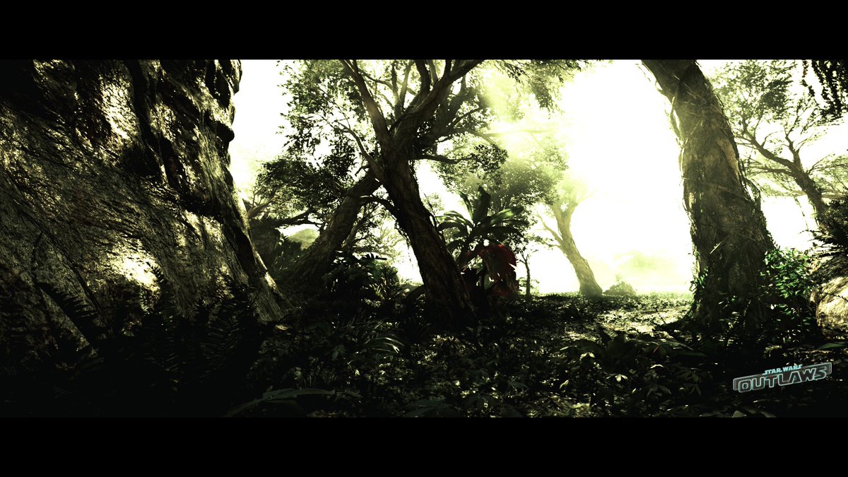 David Phillips tweet media