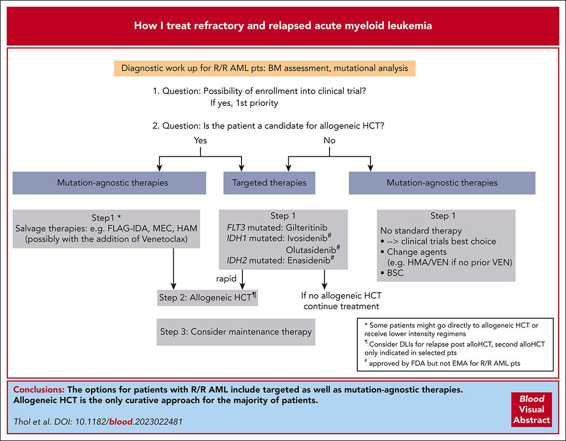 How I treat refractory and relapsed acute myeloid leukemia ashpublications.org/blood/article-… #leusm