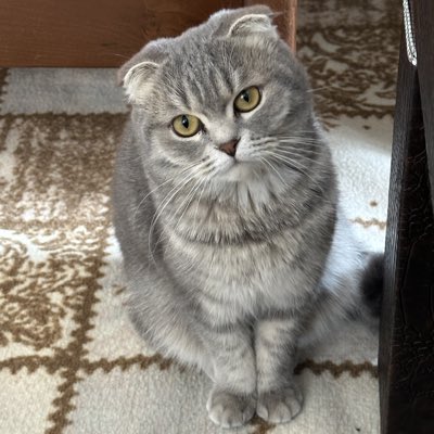 Halis__tas's tweet photo. #YeniProfilResmi https://t.co/2fuple8Z3J