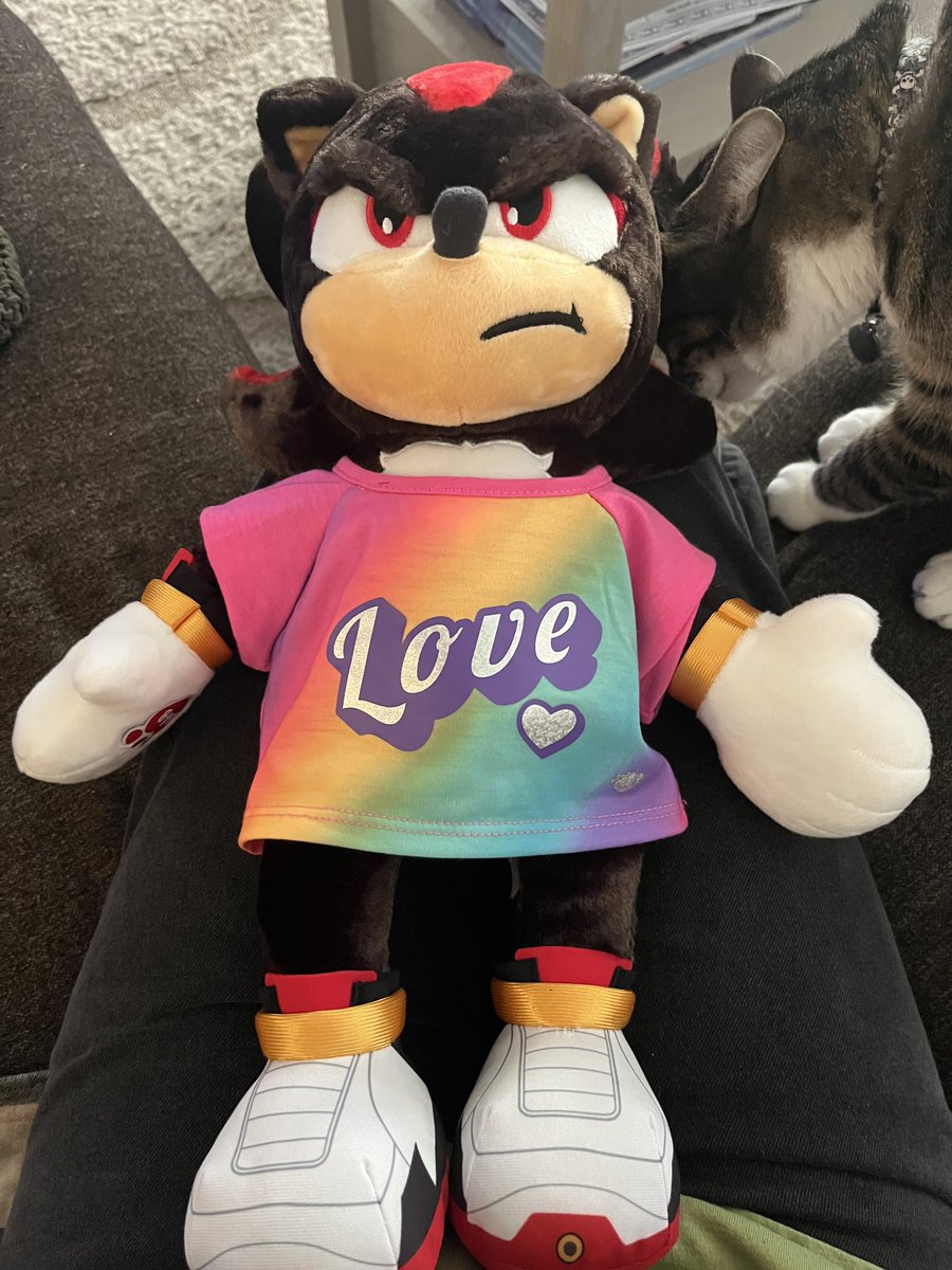 lakehoya's tweet photo. shadow build a bear acquired 🫡 the lady who stuffed him said all the employees called him princess https://t.co/6ncv7wfwS7