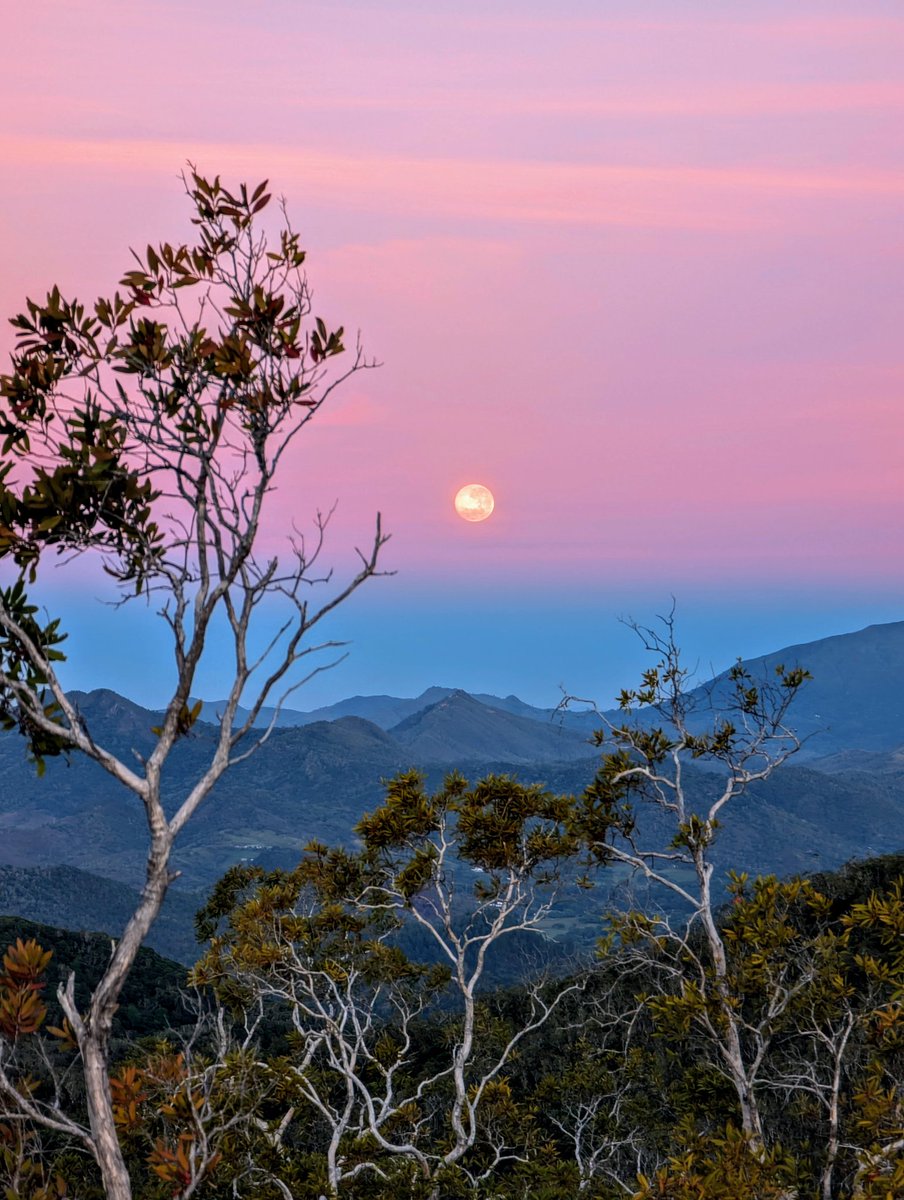 Ça valait le coup de se lever ce matin avec le <a href="/GooglePixel_US/">Google Pixel</a> (7 Pro)

<a href="/Nouvl_Caledonie/">Nouvelle-Calédonie</a>
