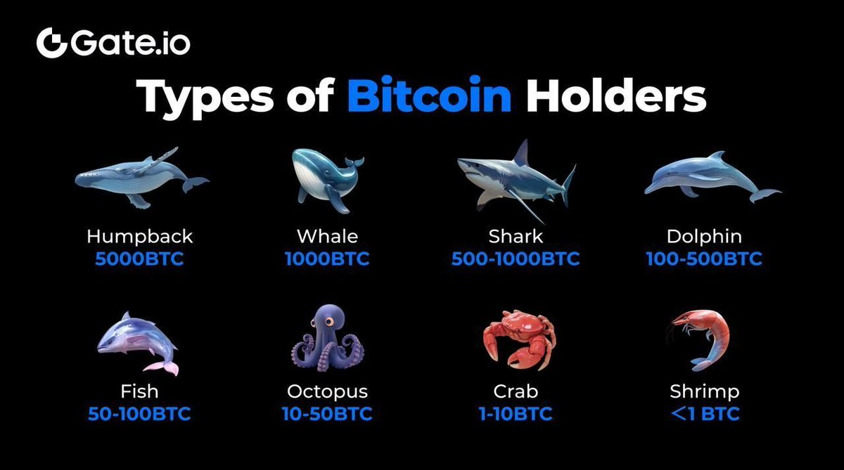 What type of #Bitcoin holders are you? Whale 🐳, dolphin 🐬 or fish 🐟️ ?  More: https://t.co/0XLTbaOUoL