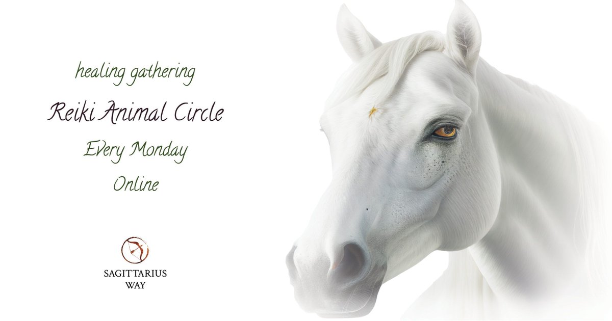 Sagittarius Way tweet media