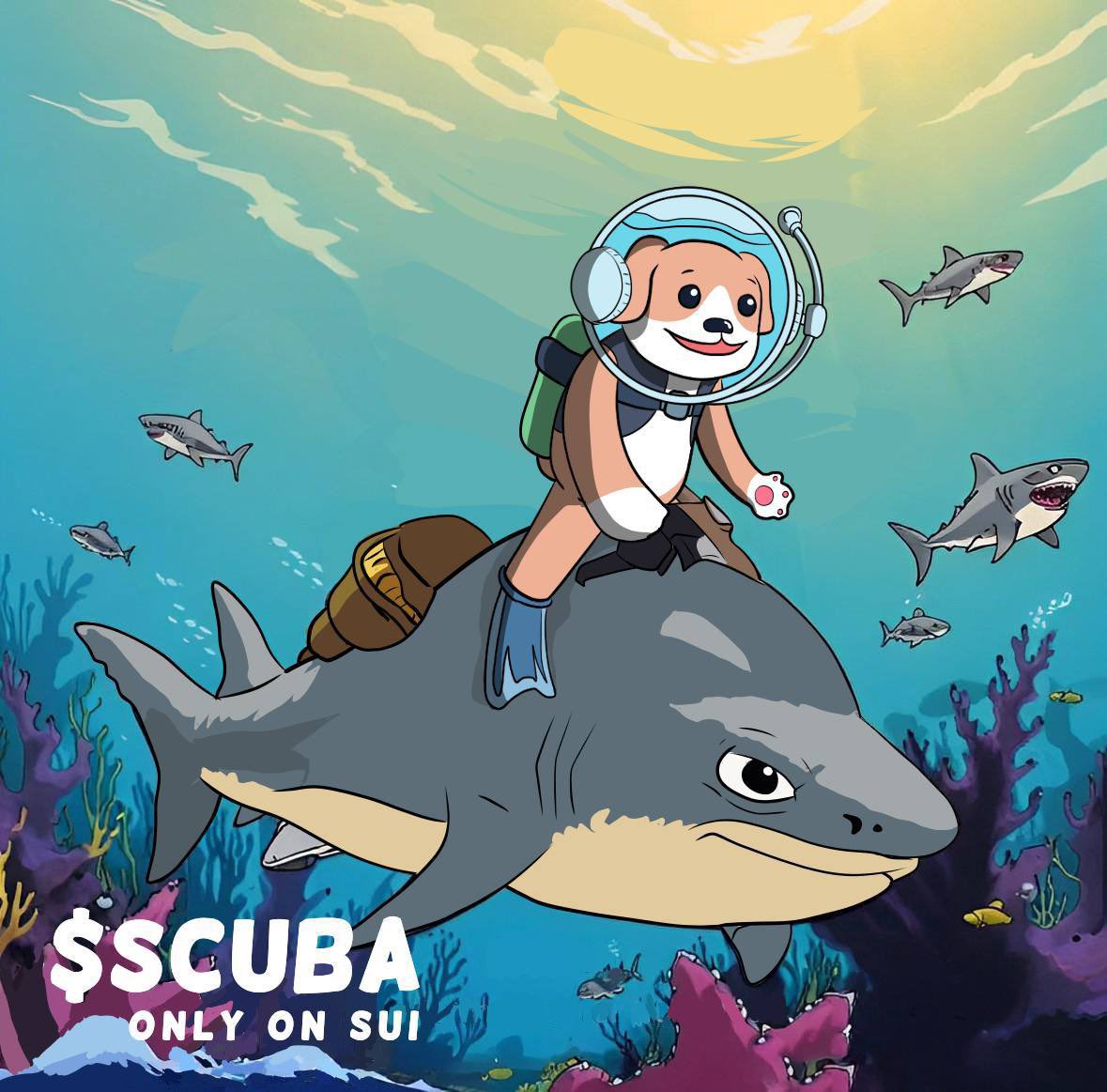 Scuba hunts with the sharks 🤿🐶💧