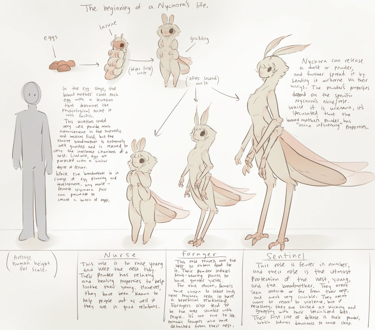 TateOfTot's tweet photo. some species lore
the Nychora moths i made a while back https://t.co/XNThXiozMX