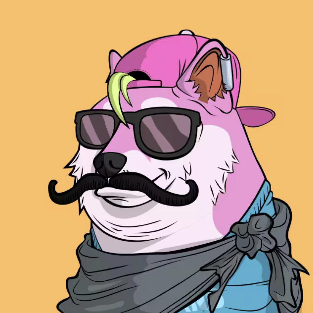 cadebergman's tweet photo. Gn @DOGE 🐶 https://t.co/sDvGxYlTQD