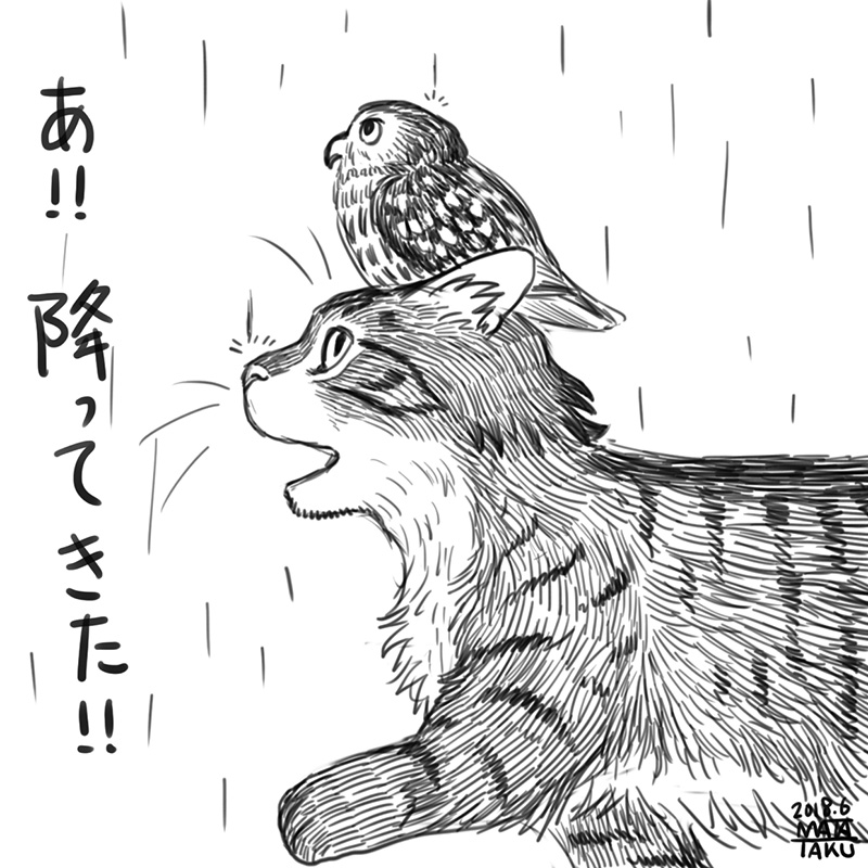 猫フク 突然の雨 をpixivに投稿しました😄
今回は4コマに収まってます

https://t.co/Wi61EMxSao 
