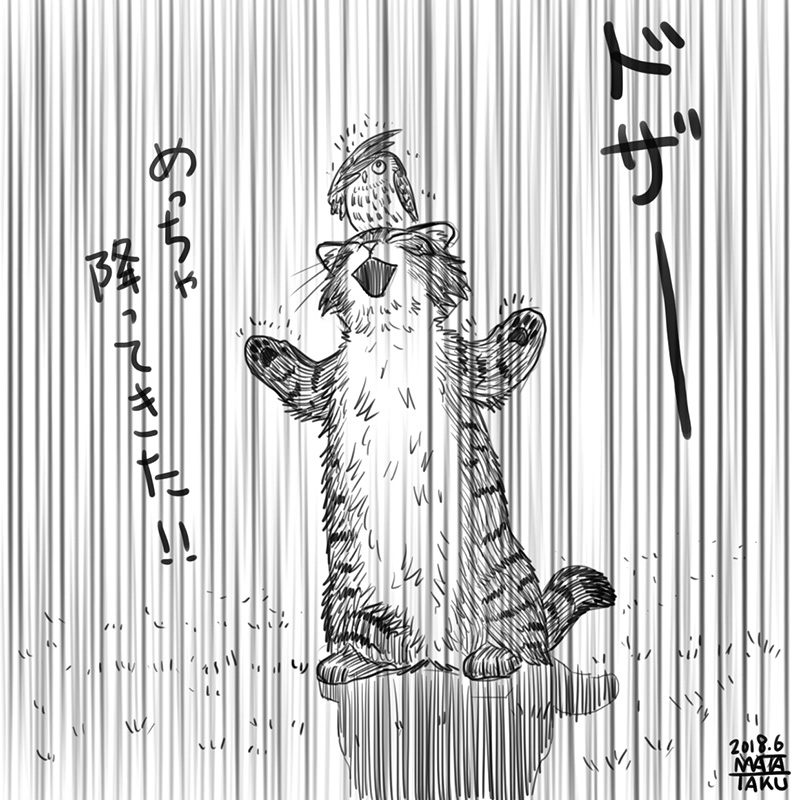 猫フク 突然の雨 をpixivに投稿しました😄
今回は4コマに収まってます

https://t.co/Wi61EMxSao 