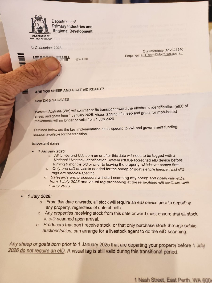 tofar1's tweet image. So if you've got 3 year old sheep which you don't sell until 2026 you've now got to put more tags into them.  Fuck me seriously the sheep industry in WA is rooted.  

If you buy in sheep you have to scan them, more money on something that's not going to do anything.