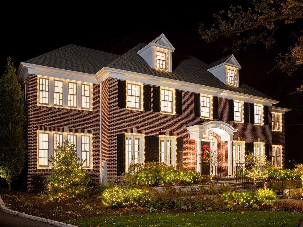 ryan 🤿 tweet media